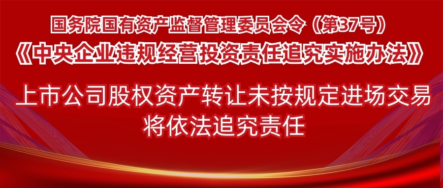 《中央企业违规经营投资责任追究实施办法（试行）》（国务院国资委第37号令）