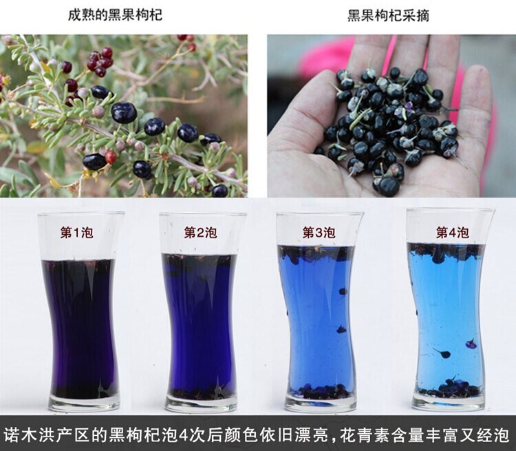 怎样辨别真假黑枸杞-黑枸杞泡水后什么颜色,黑枸杞的真假,怎么辨认黑枸杞真假,黑枸杞的真假辨别,黑枸杞真假